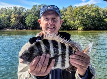 Spring is near in SWFlorida