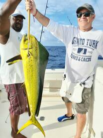 Surprise Winter Mahi