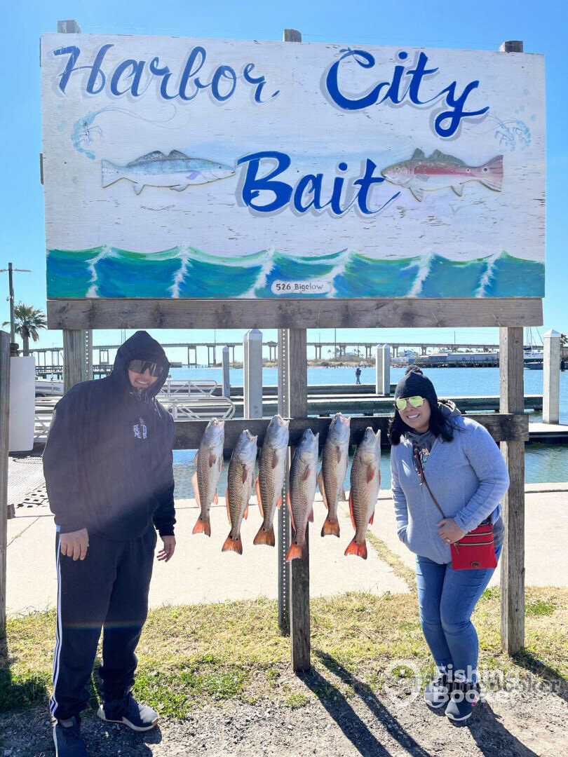 Aransas Pass Report Photo 0