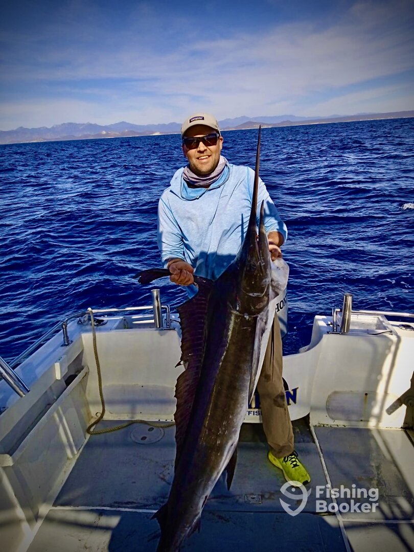 San Jose del Cabo Report Photo 0