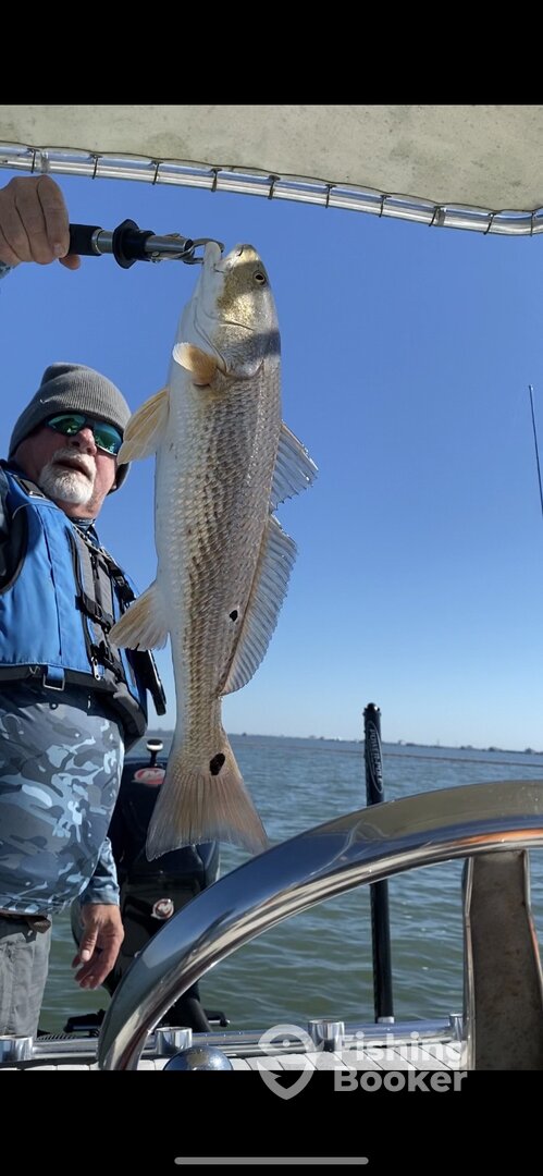 Galveston Report Photo 0