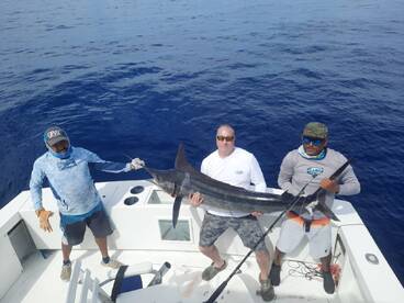 Cabo San Lucas Report Photo 2