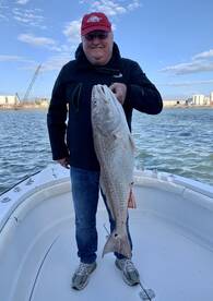 Galveston Report Photo 1