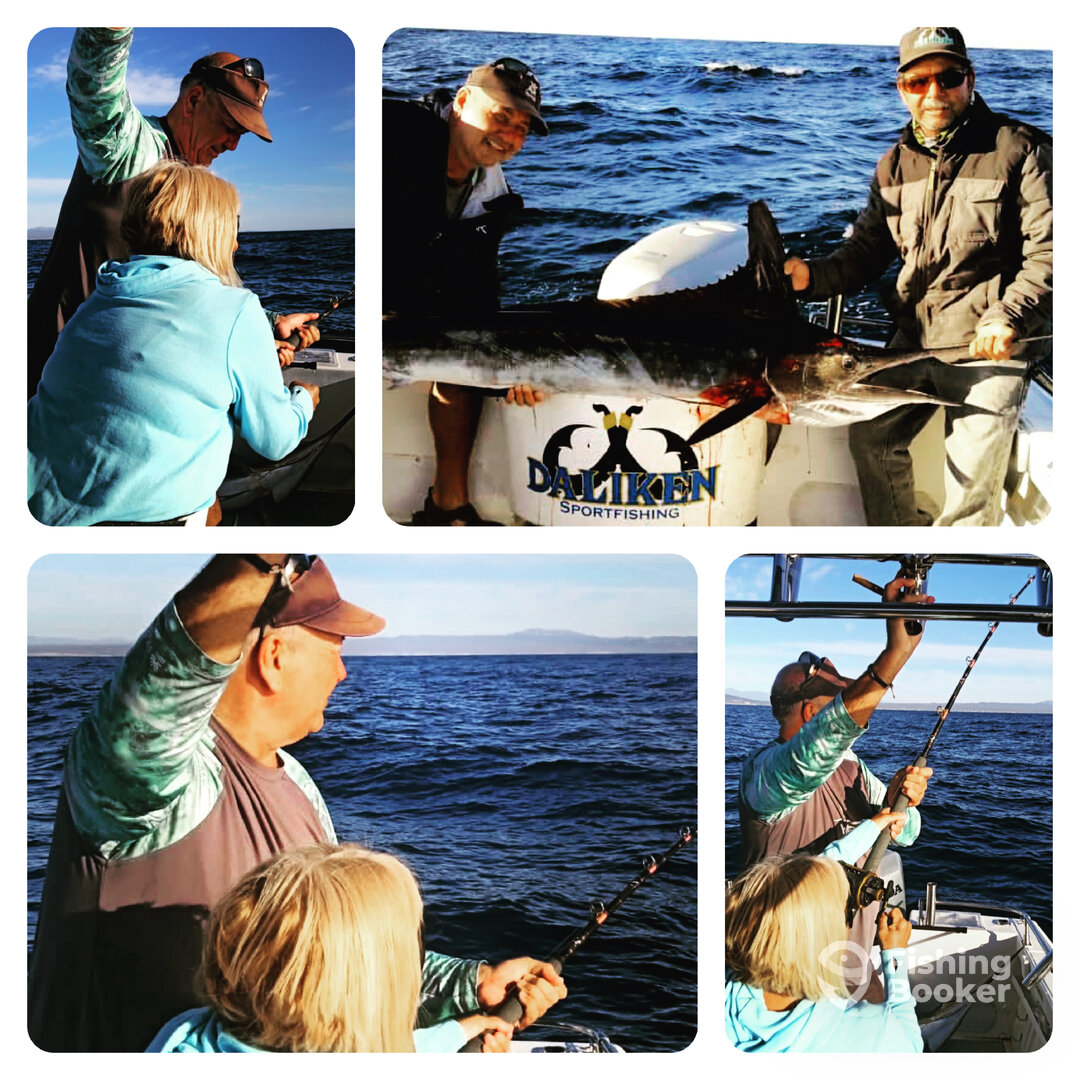 San Jose del Cabo Report Photo 0