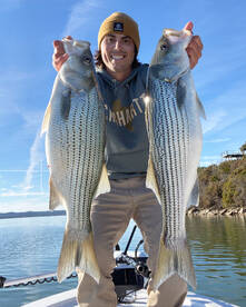 Great Striped Bass Fishing 