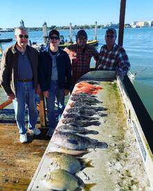 Seabass have been biting great!!