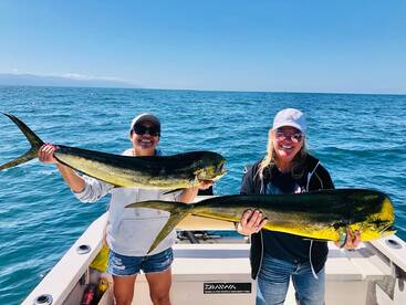 Puerto Vallarta Report Photo 1