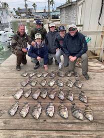 Sheepshead extravaganza!