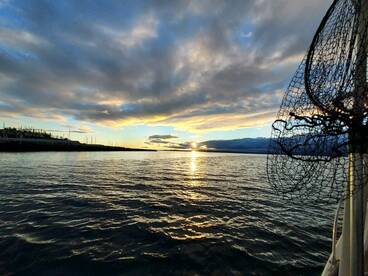 Salmon Re opening