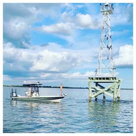 SPRING TIME IN TAMPA BAY