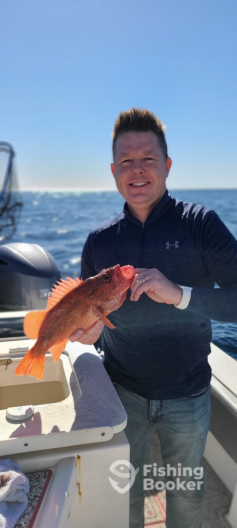 San Diego Report Photo 0