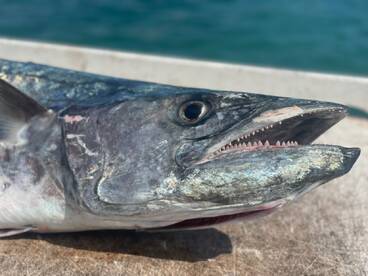 West Palm Beach Report Photo 2