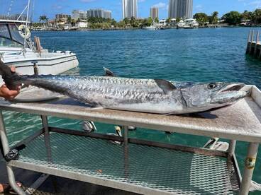 West Palm Beach Report Photo 1