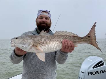 Galveston Report Photo 1