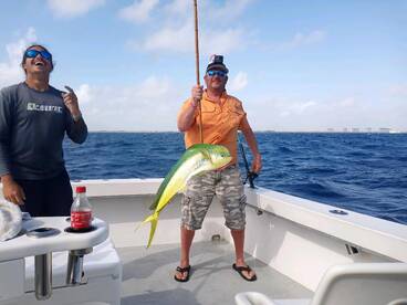 Dania Beach Report Photo 1