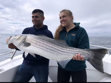 Dennis Report Photo 1