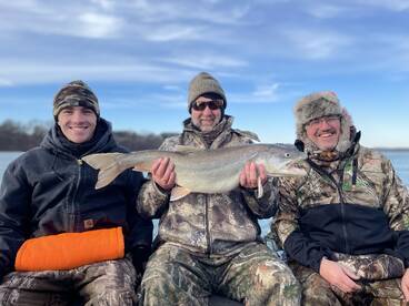 Buffalo Report Photo 2