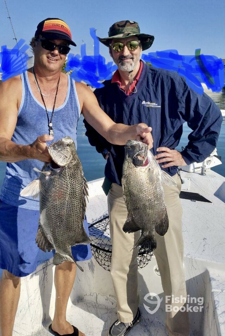 Port Canaveral Report Photo 0
