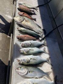 Port Canaveral Report Photo 2