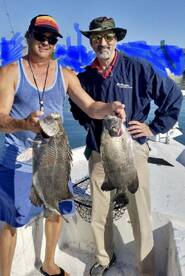 30 + fish on everytrip this month.