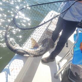 Port Orange Report Photo 2