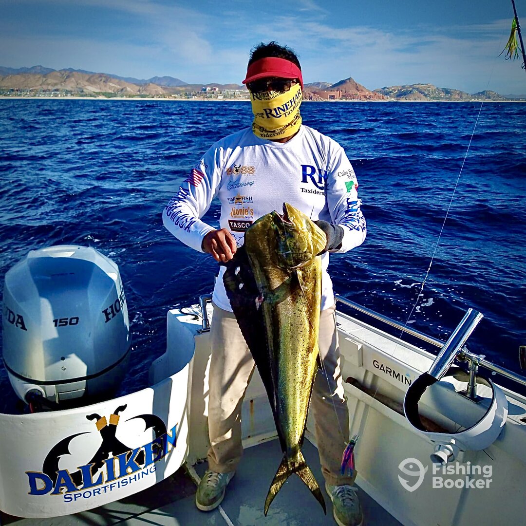 San Jose del Cabo Report Photo 0