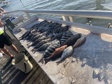 Hauls from trip one and two on Saturday