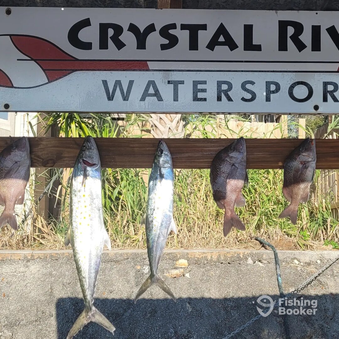 Crystal River Report Photo 0