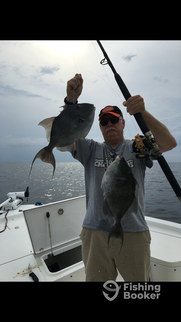 Destin Report Photo 0
