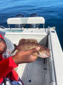 Port Orange Report Photo 2