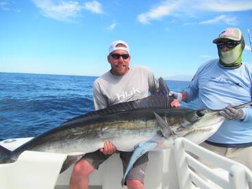 Cabo San Lucas Report Photo 1