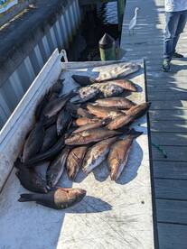 Pile of great tasting treats