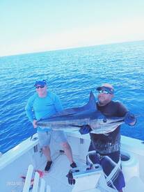 Cabo San Lucas Report Photo 2