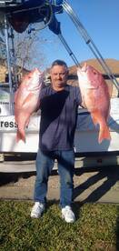 Statewater Snapper bite