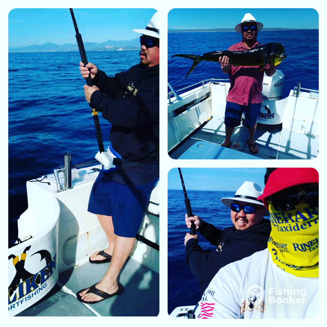 San Jose del Cabo Report Photo 0