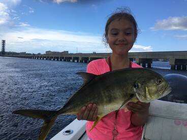 Sarasota Report Photo 2