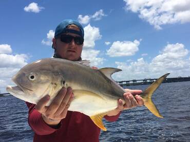 Sarasota Report Photo 1