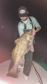 Crystal River Report Photo 2