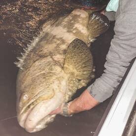 Fishing has been AMAZING lately!!!