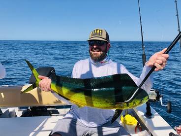 Puerto Vallarta Report Photo 1