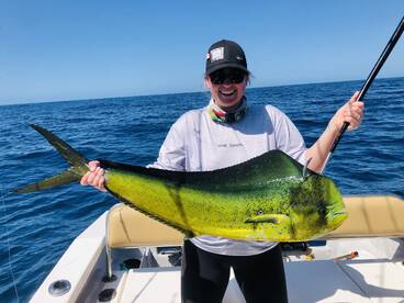 Puerto Vallarta Report Photo 2
