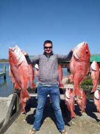 Red Snapper bite is on fire.