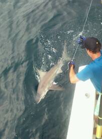 Fort Lauderdale Report Photo 2