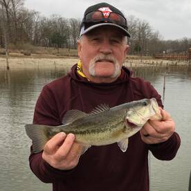 Quitman Report Photo 2