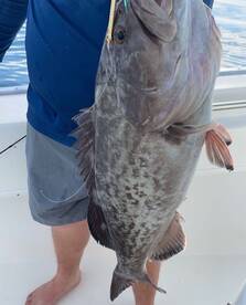 Offshore Fishing is on fire right now