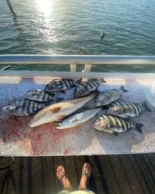 Clearwater Report Photo 1