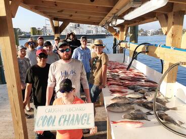 Triggerfish and B liners!