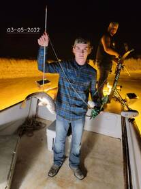 Dauphin Island Report Photo 1