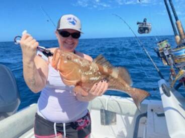Hot red grouper bite!!
