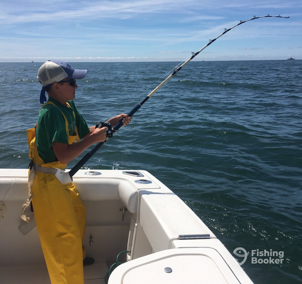 Montauk Report Photo 0